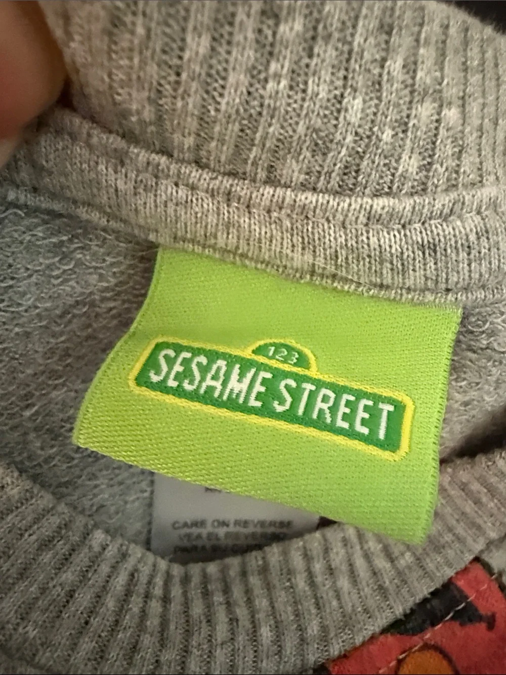 Sesame Street cozy two